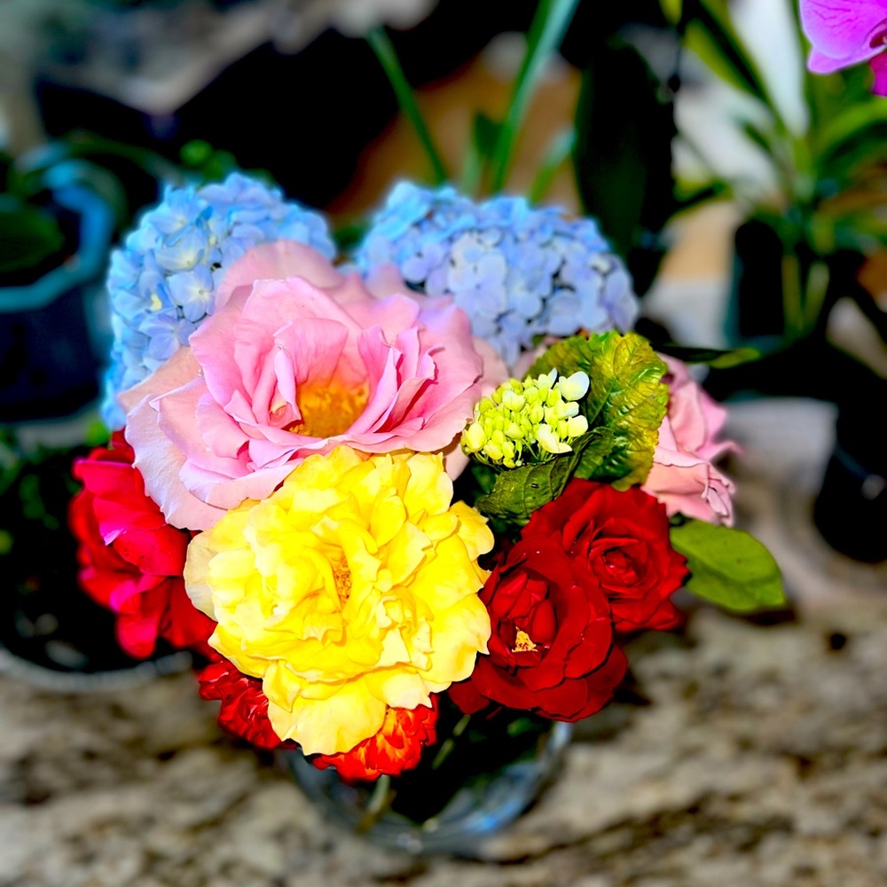 Meet your Posher, Amber